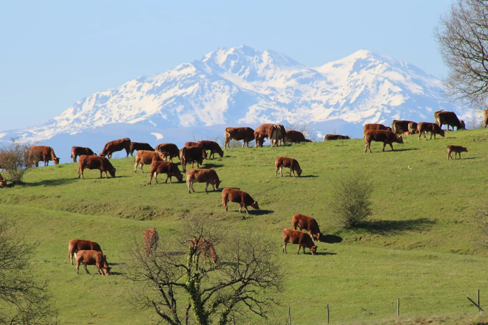 Au cœur de la nature