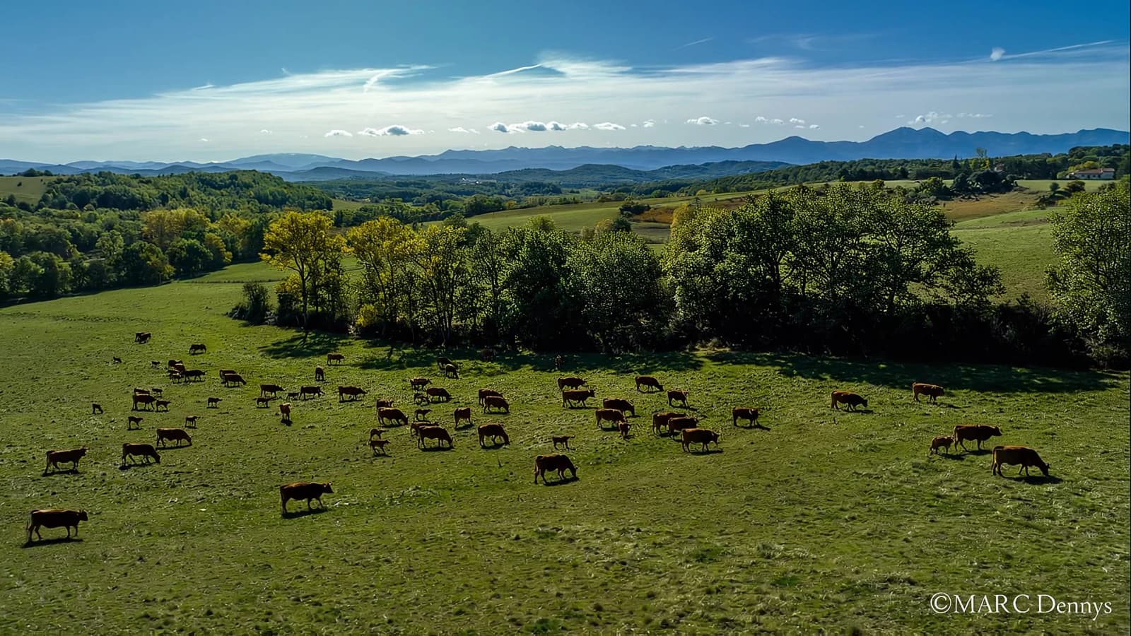 Au cœur de la nature
